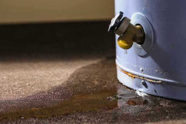Best Water damage contractors near me  in Hilliard, OH