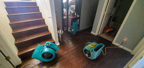 Best Water damage restoration services  in Hilliard, OH