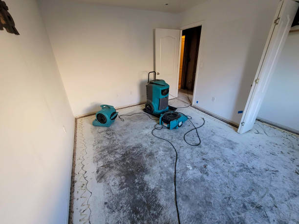 Best Sewage cleanup and water damage restoration  in Hilliard, OH