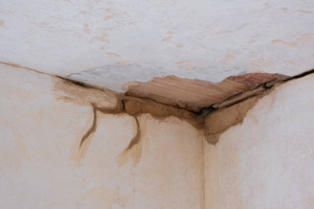 Best Mold removal after water damage  in Hilliard, OH