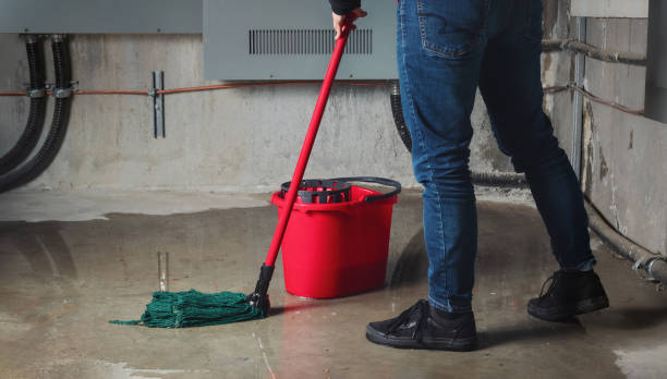 Best Flooded house restoration  in Hilliard, OH