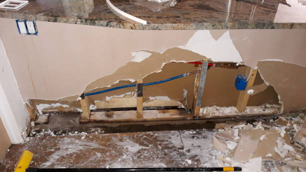 Best Carpet water damage restoration  in Hilliard, OH