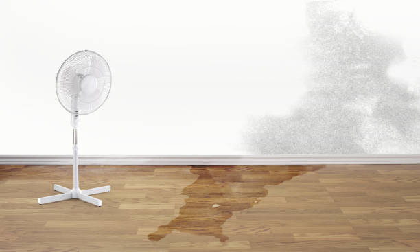 Best Flood damage cleanup  in Hilliard, OH