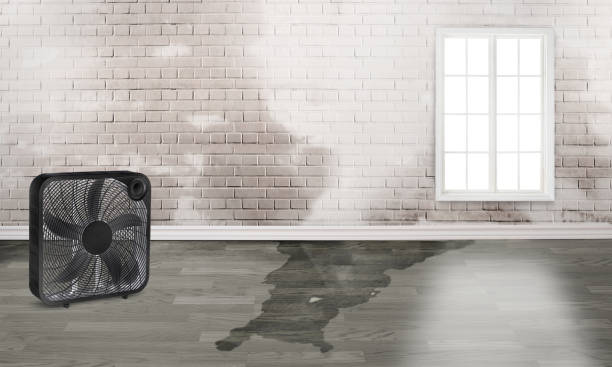 Best Water damage restoration near me  in Hilliard, OH