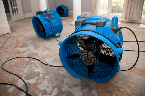 Best Water damage restoration company  in Hilliard, OH