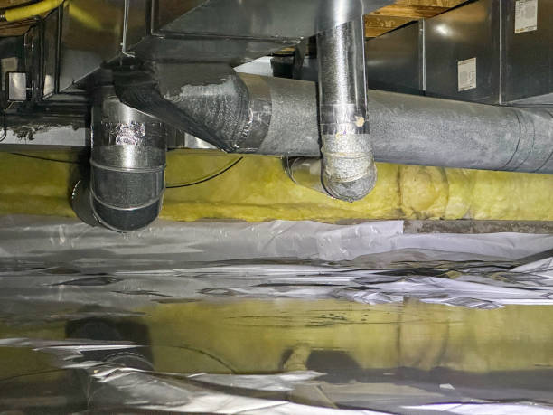 Best Carpet water damage restoration  in Hilliard, OH